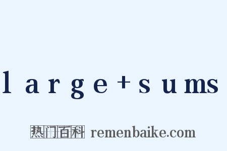 large+sums是什么意思的图片